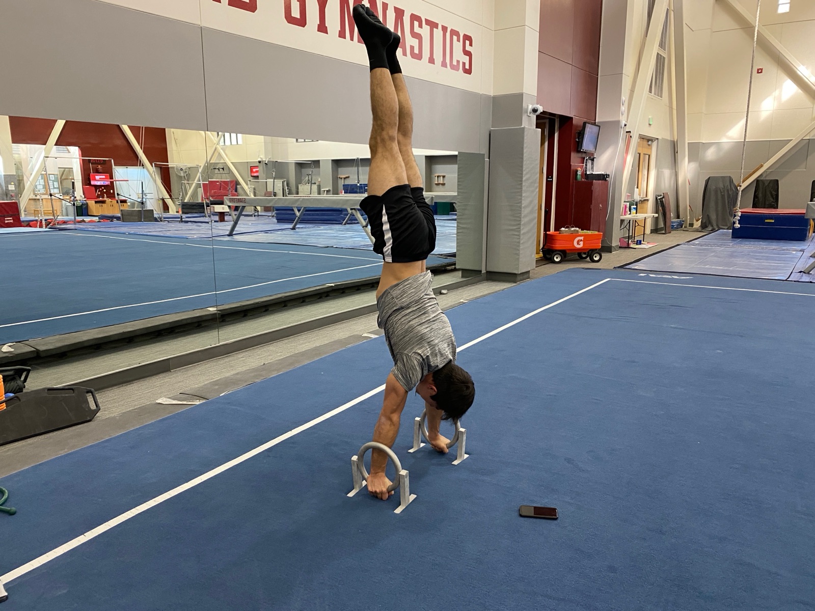 A teammate from the Stanford gymnastics team doing a handstand on the Ringallets in a gymnastics gym.