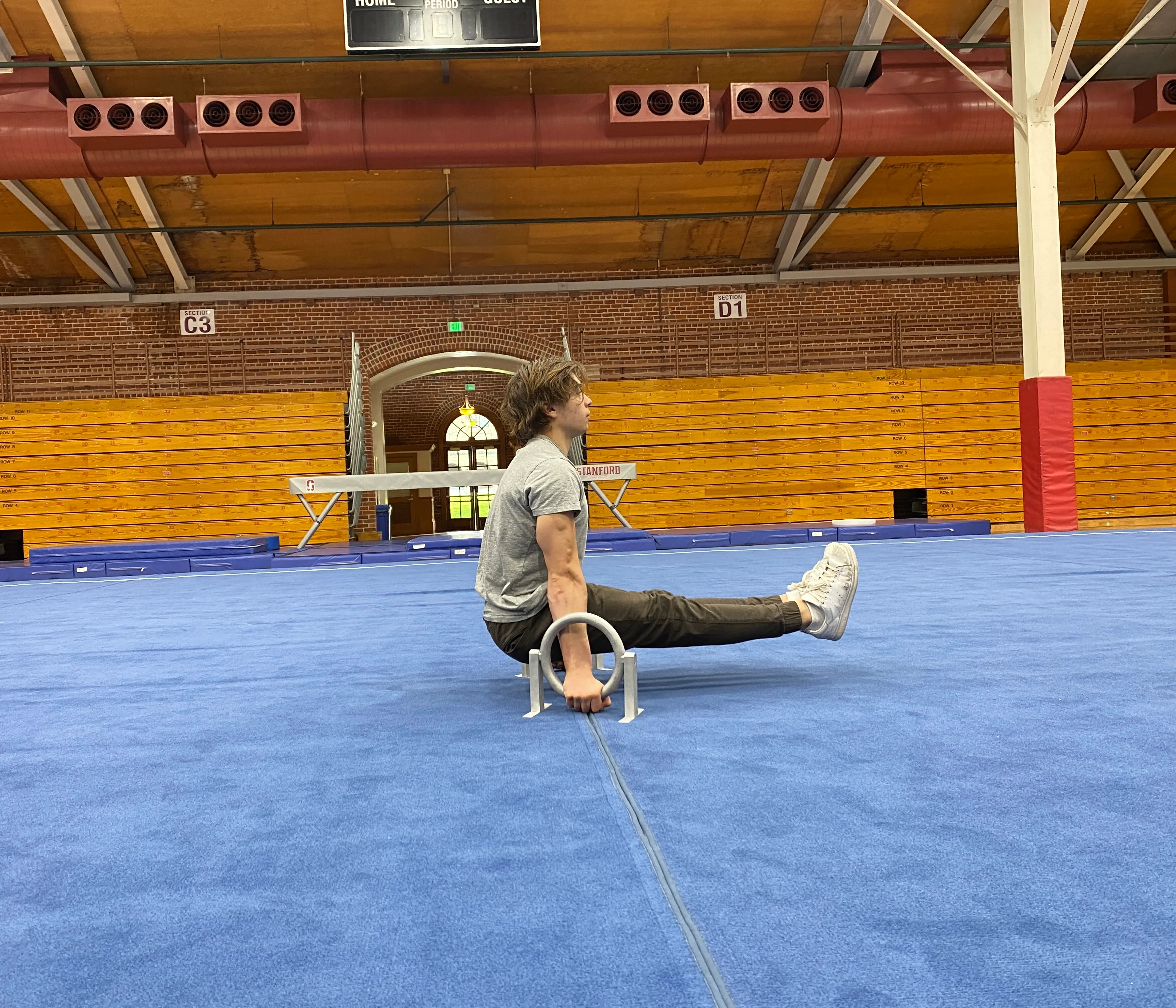 Ringallets L-sit
