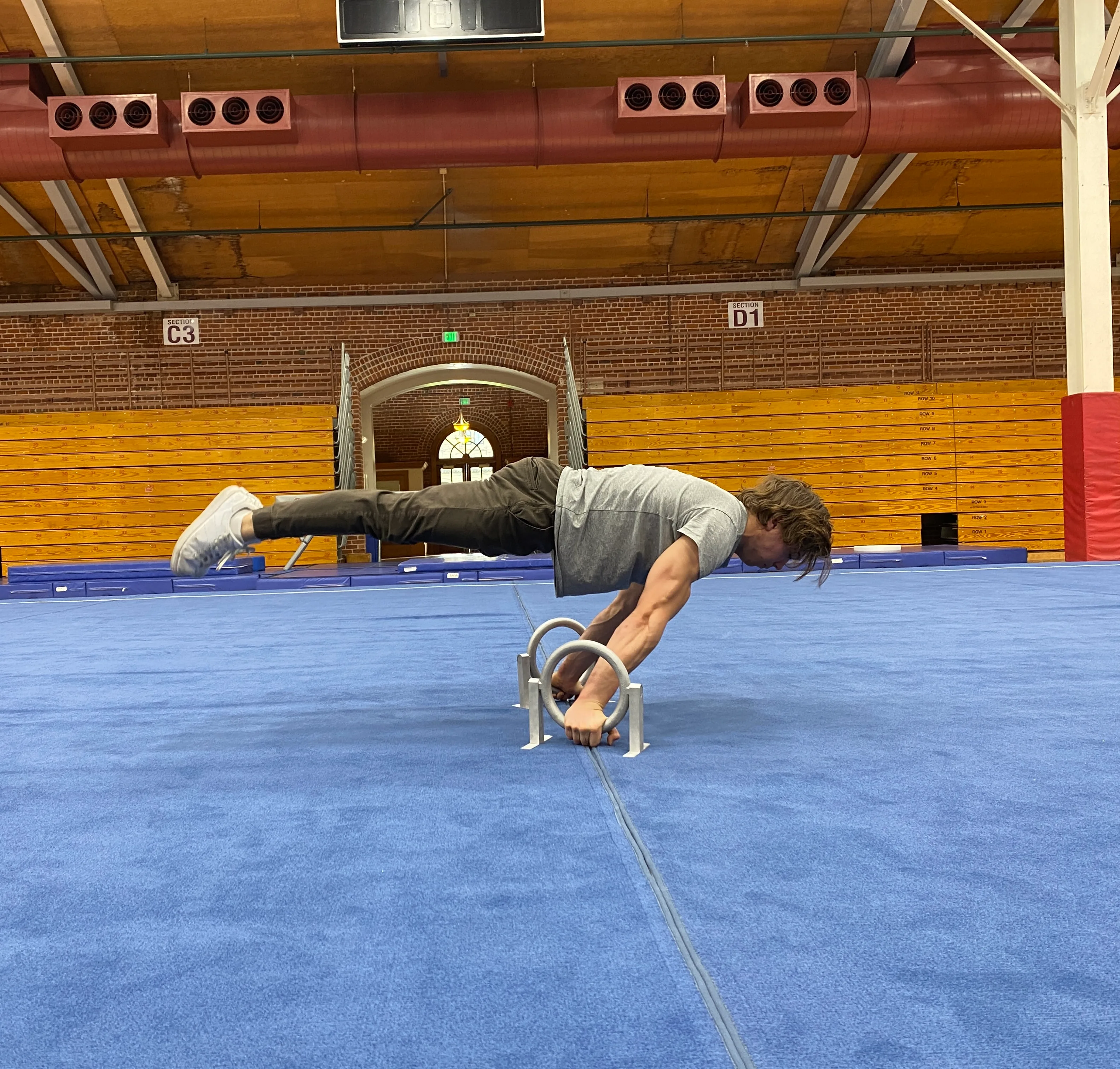 Ringallets planche